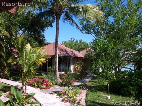 Coral Palms Island Resort 15